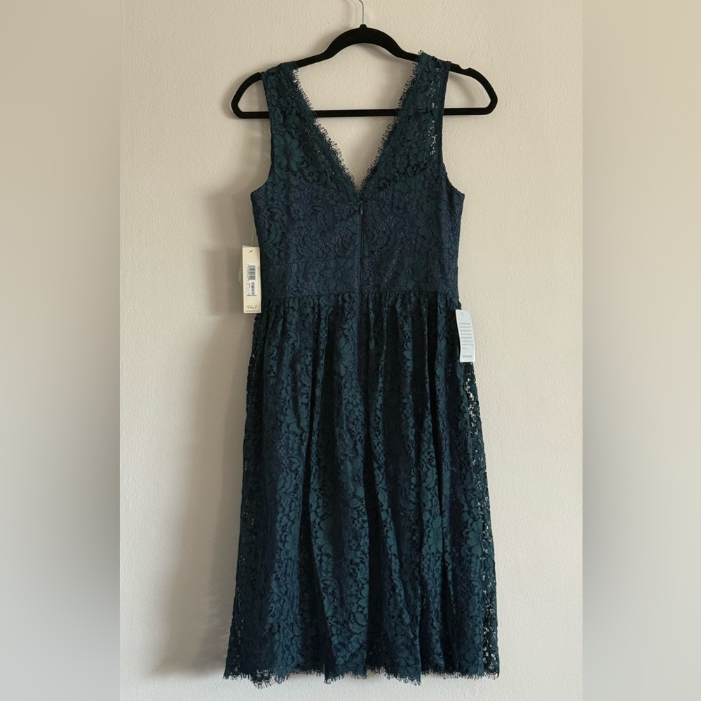 Eliza J Lace Midi Dress in Blue with Green Lace - Picture 5 of 7